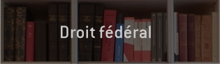 Diritto Federale